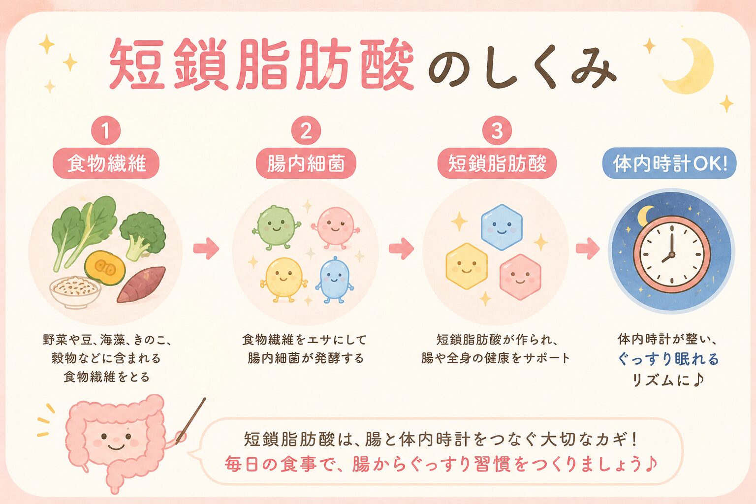 短鎖脂肪酸のしくみ