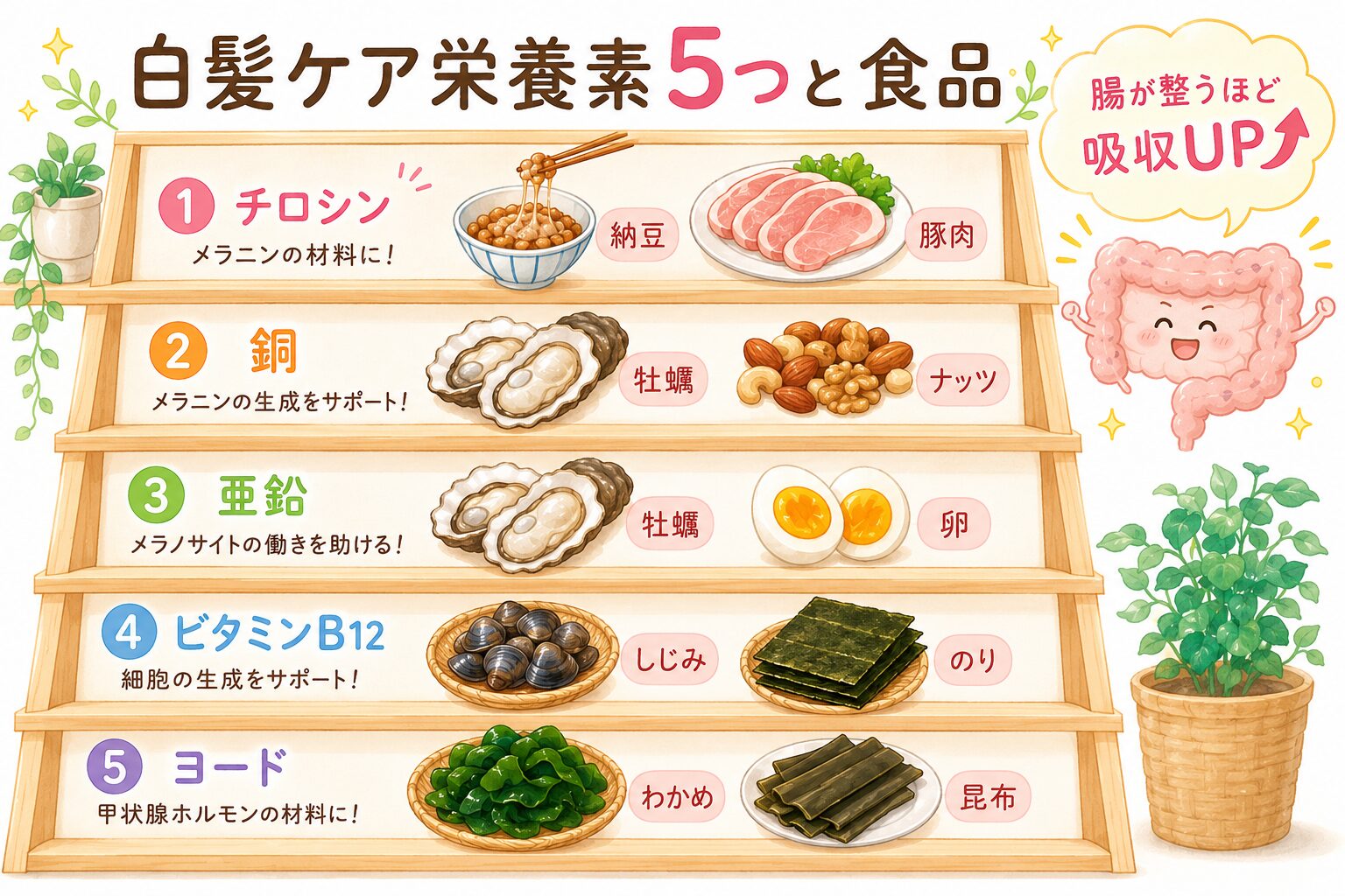 私の腸活ルーティン4つ